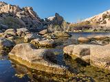 Joshua Tree 005